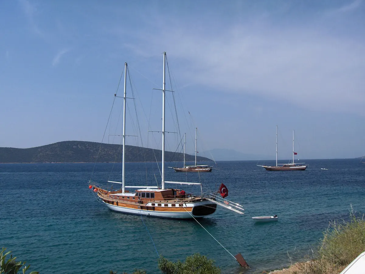 Orak Island Boat Tour — photo 7