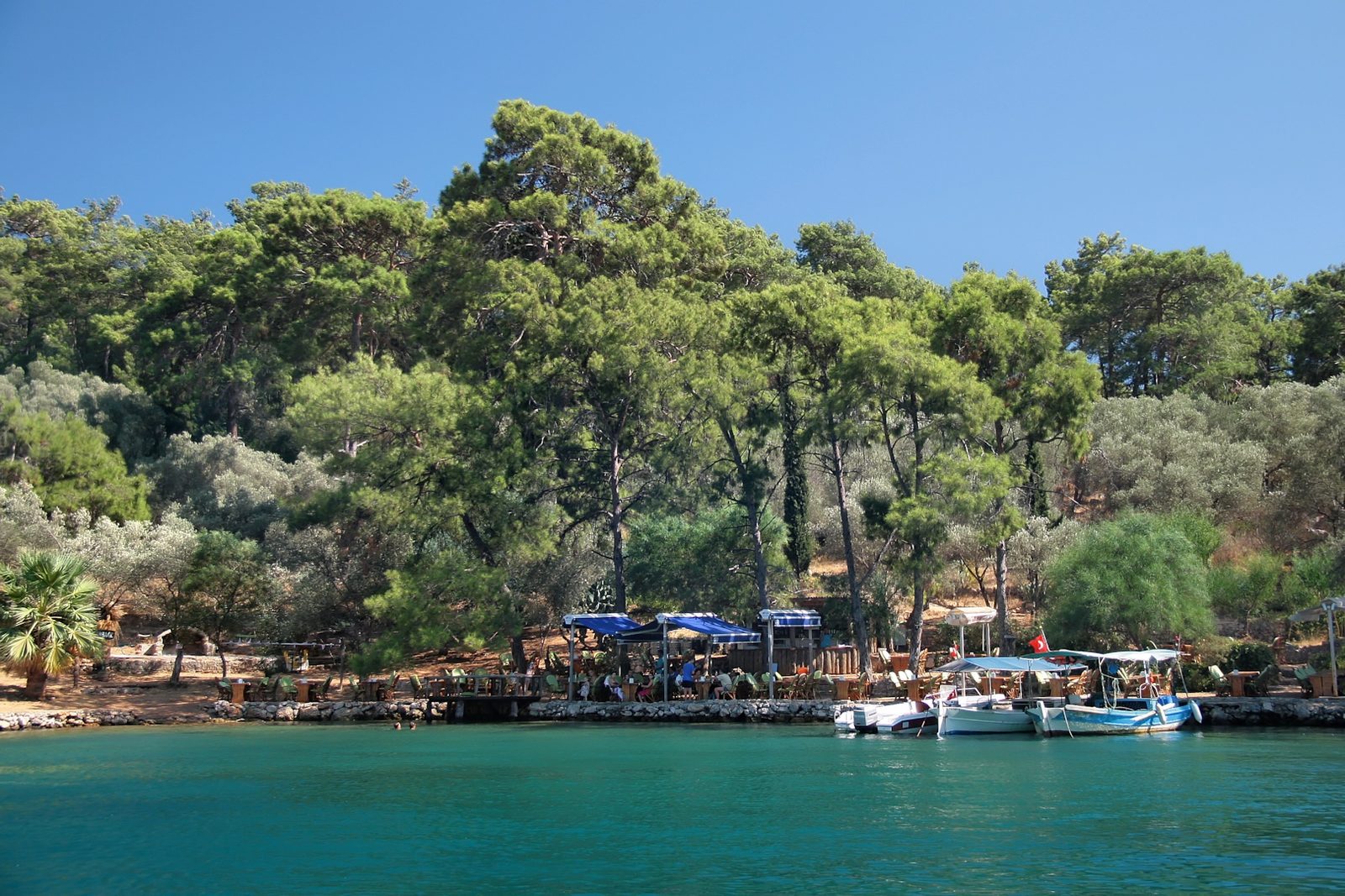 12 Islands Boat Tour — photo 8