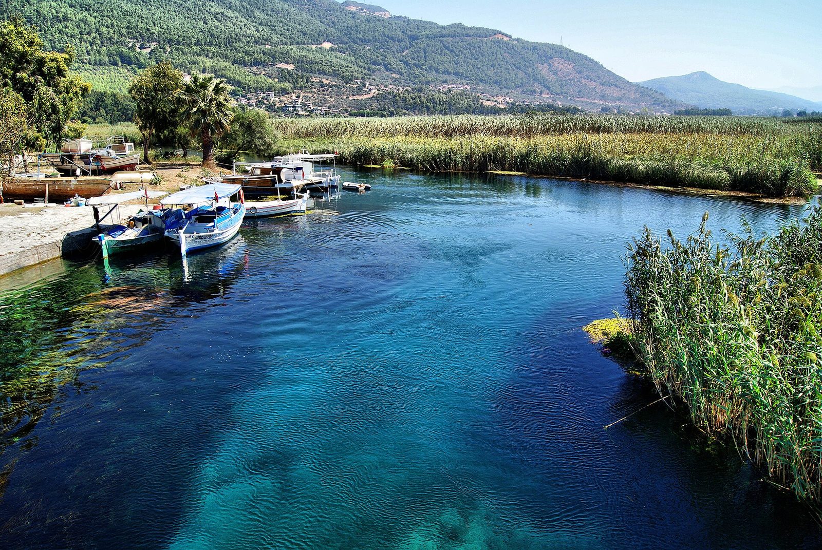 Akyaka Akbük & Asarcık Bays Tour — photo 3