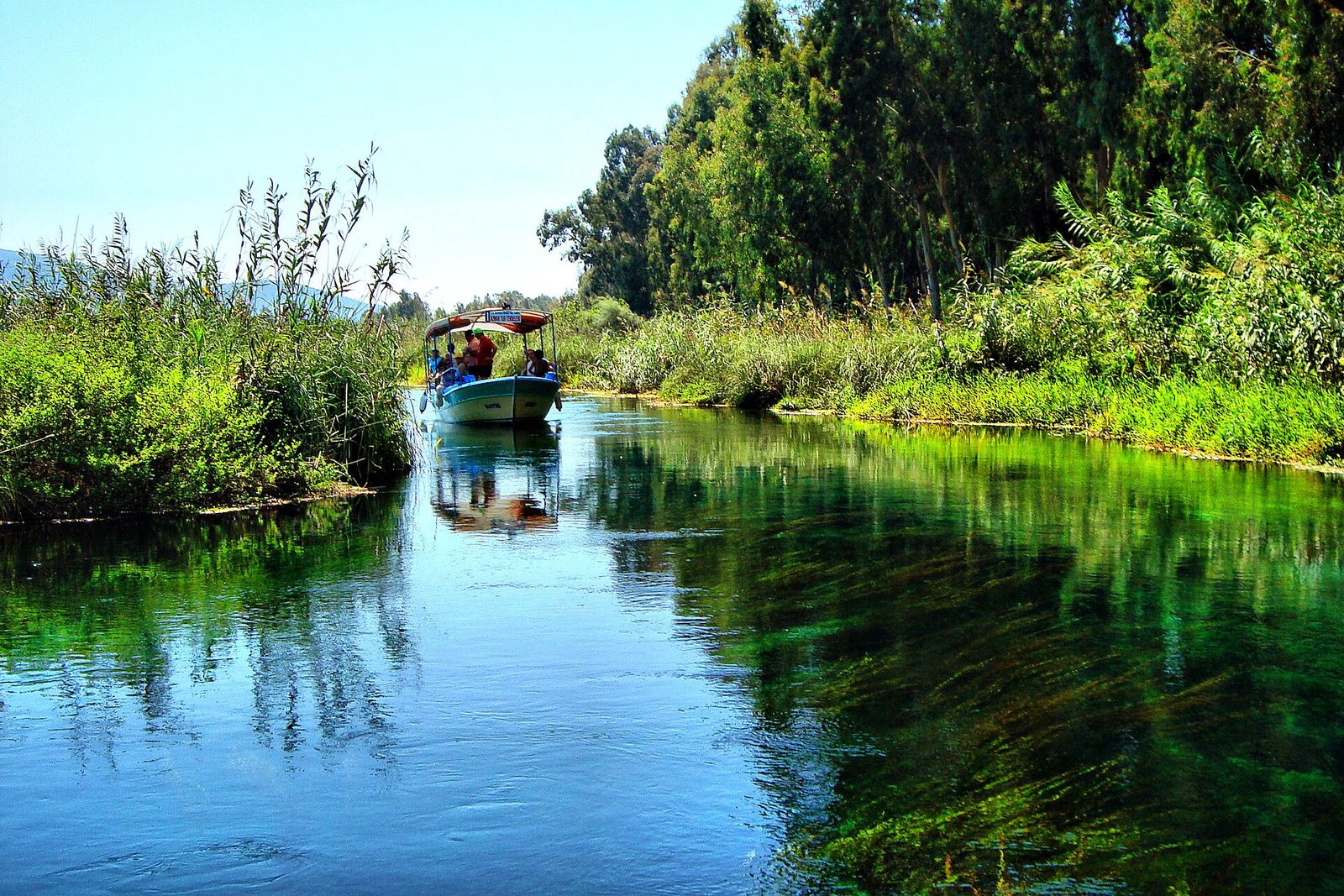 Akyaka Azmak River Tour — photo 3