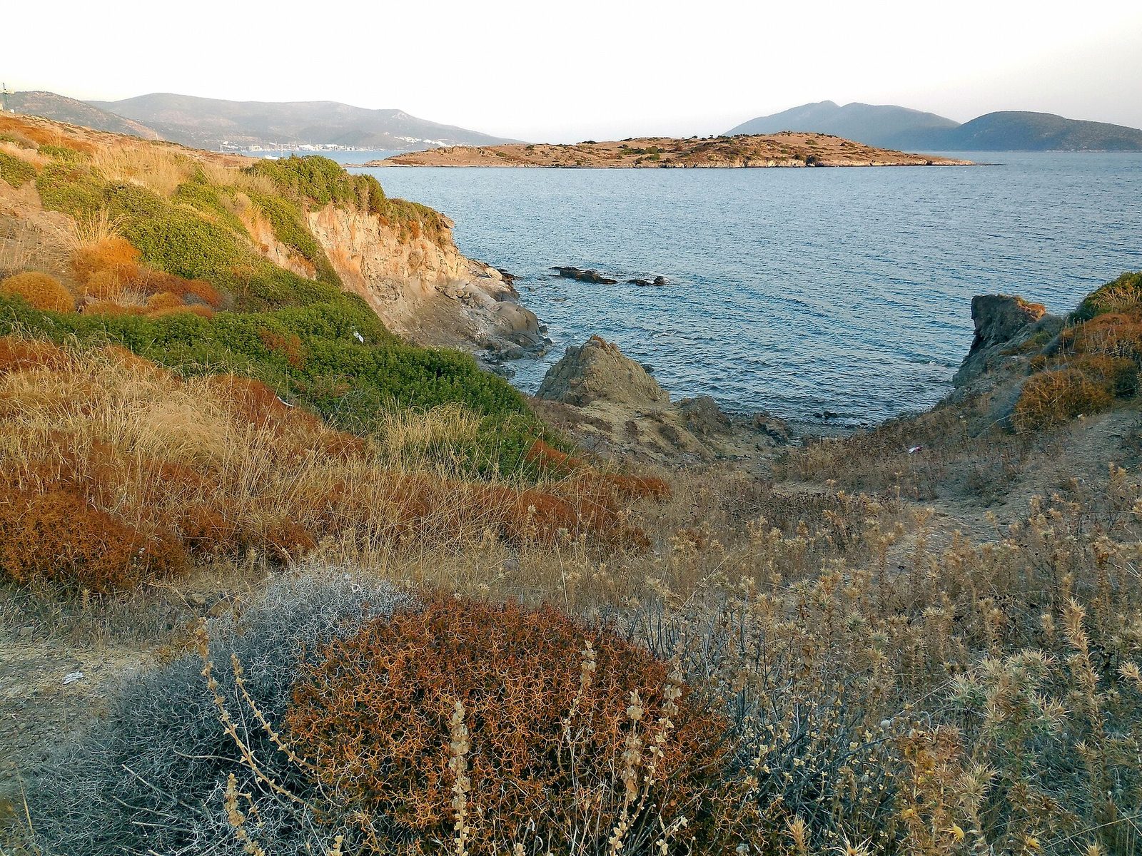 Bodrum Discover Scuba Dive — photo 2