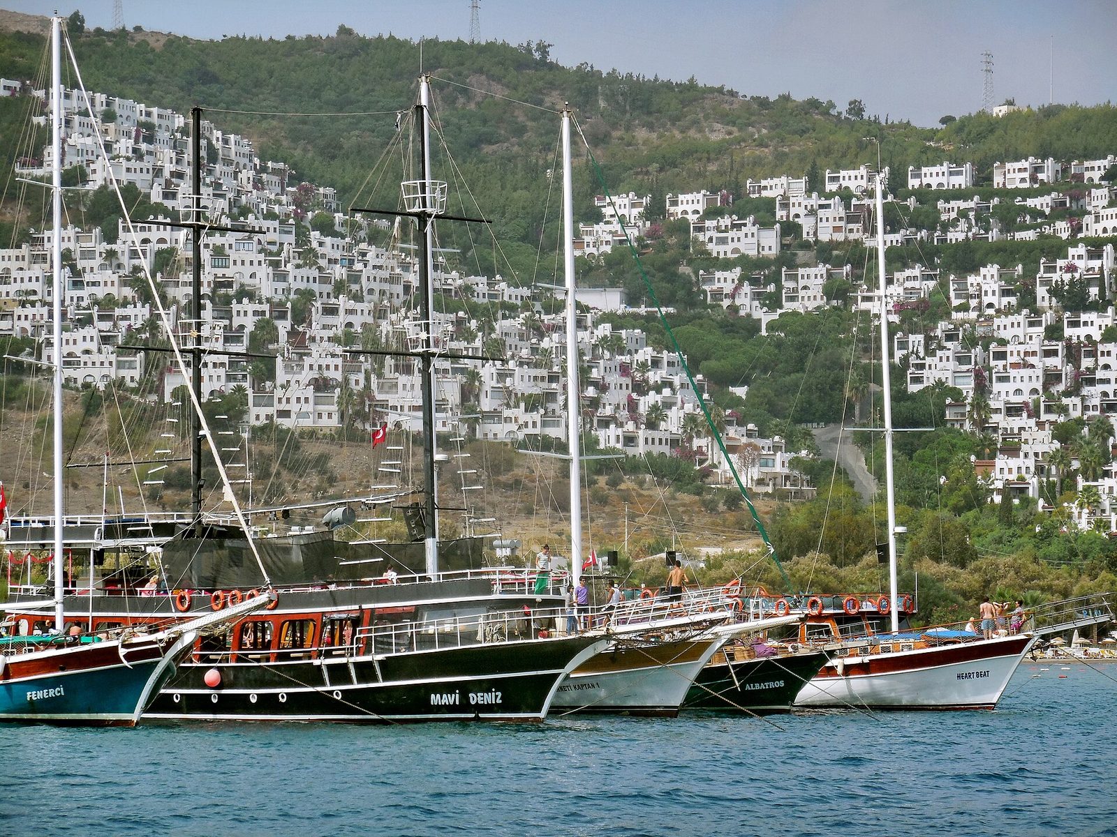 Bodrum Bays Tour — photo 8