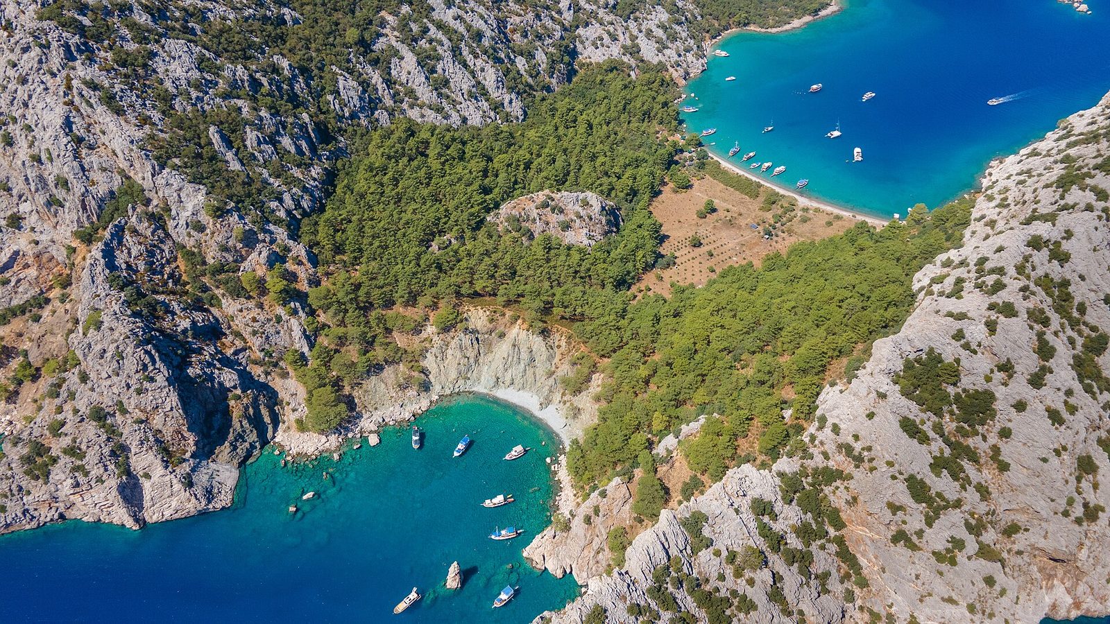 Çıralı — Olympos Bays Tour — photo 2
