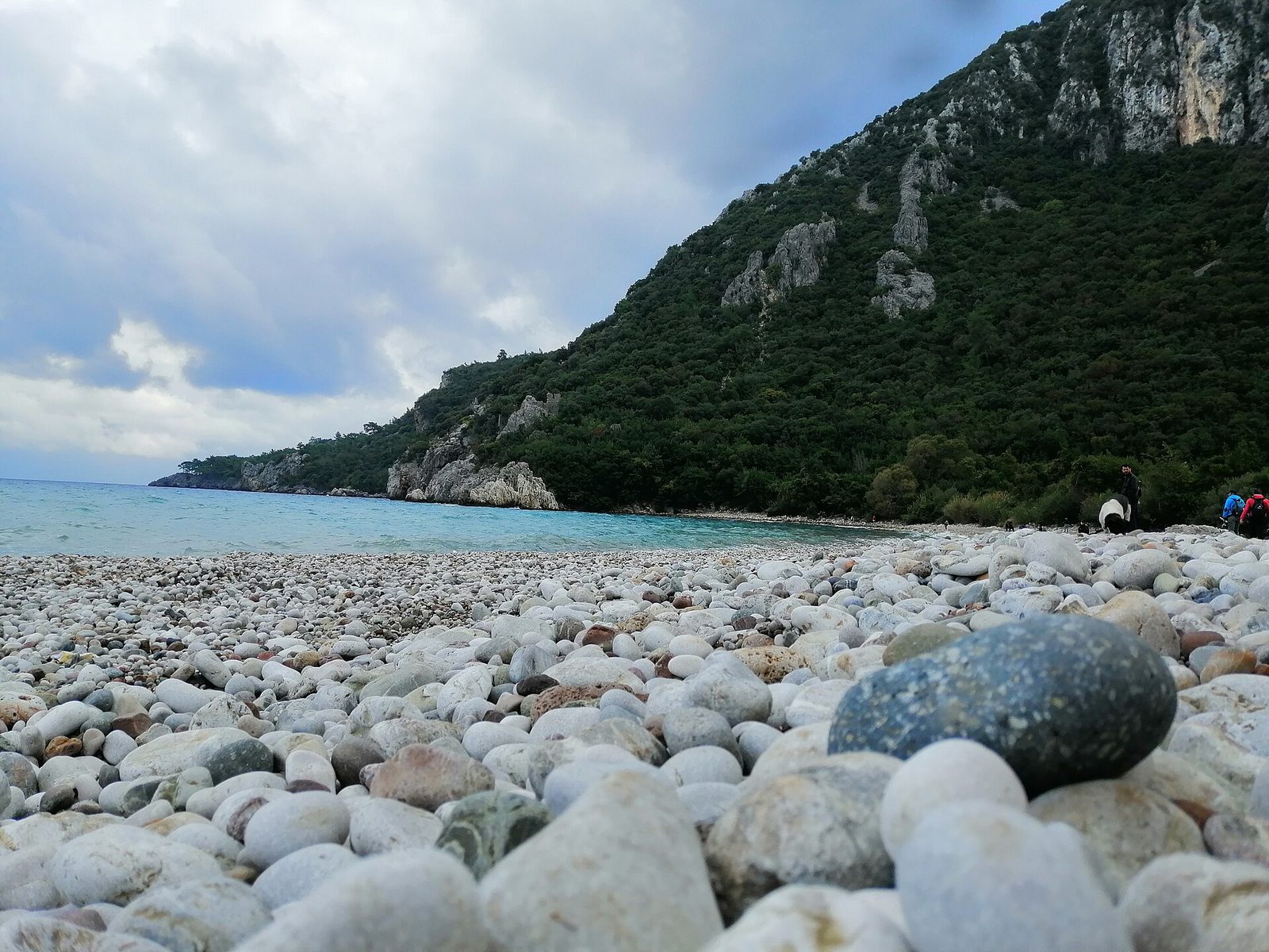 Çıralı — Olympos Bays Tour — photo 3