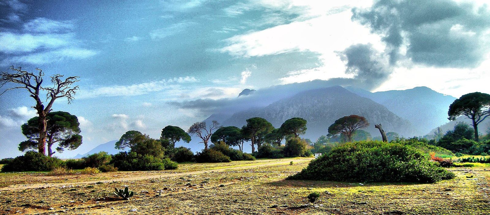 Çıralı — Olympos Bays Tour — photo 6