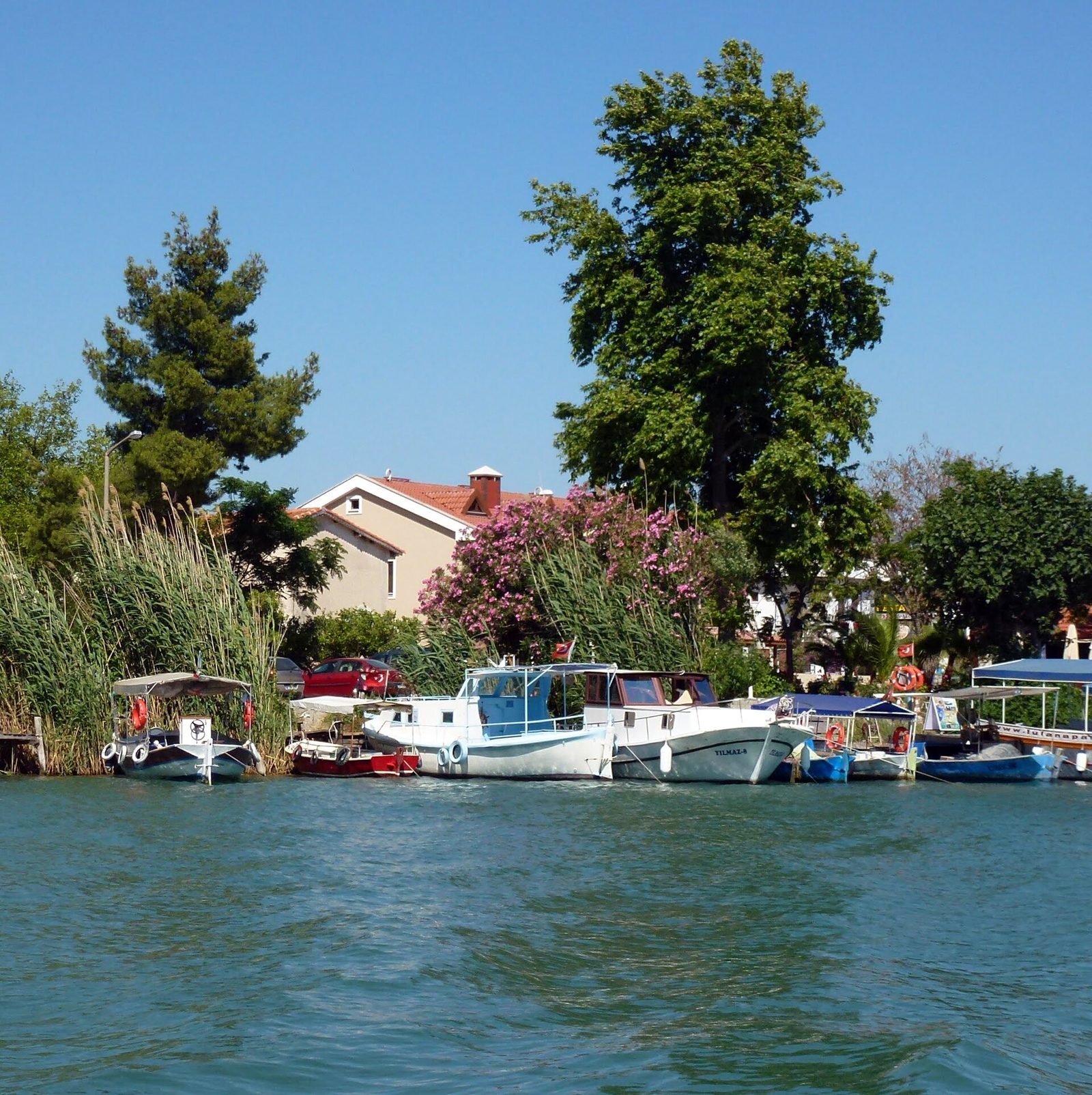 Dalyan Bacardi (Kargıcak) Koyu Turu — fotoğraf 3