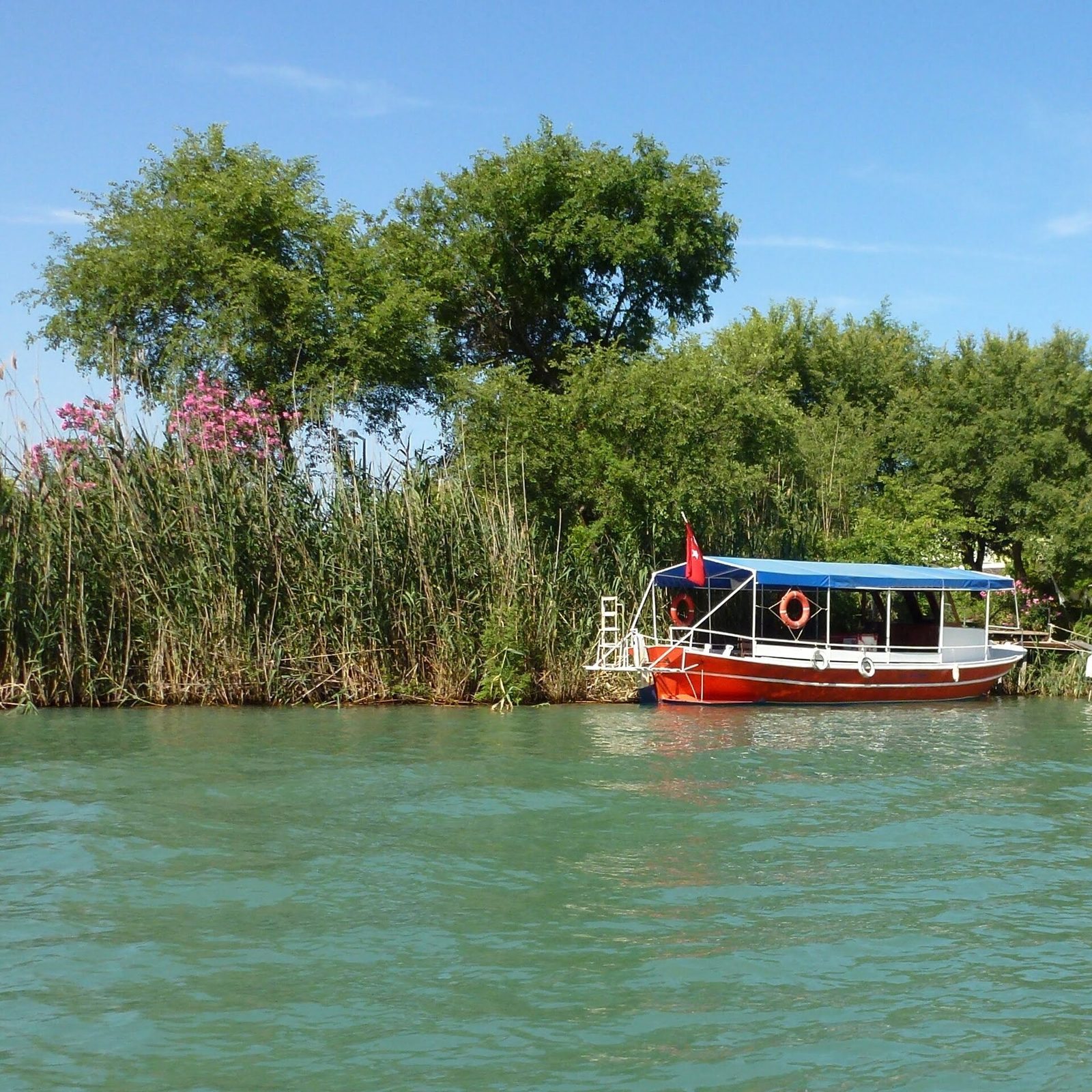 Dalyan Bacardi (Kargıcak) Koyu Turu — fotoğraf 4