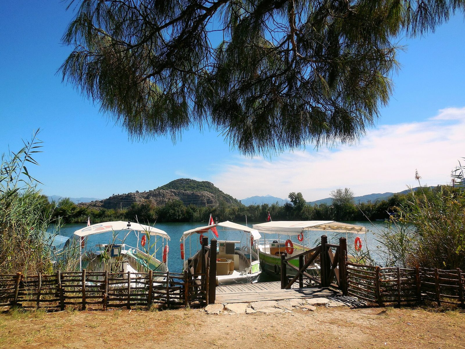 Dalyan River & İztuzu Beach Tour — photo 3