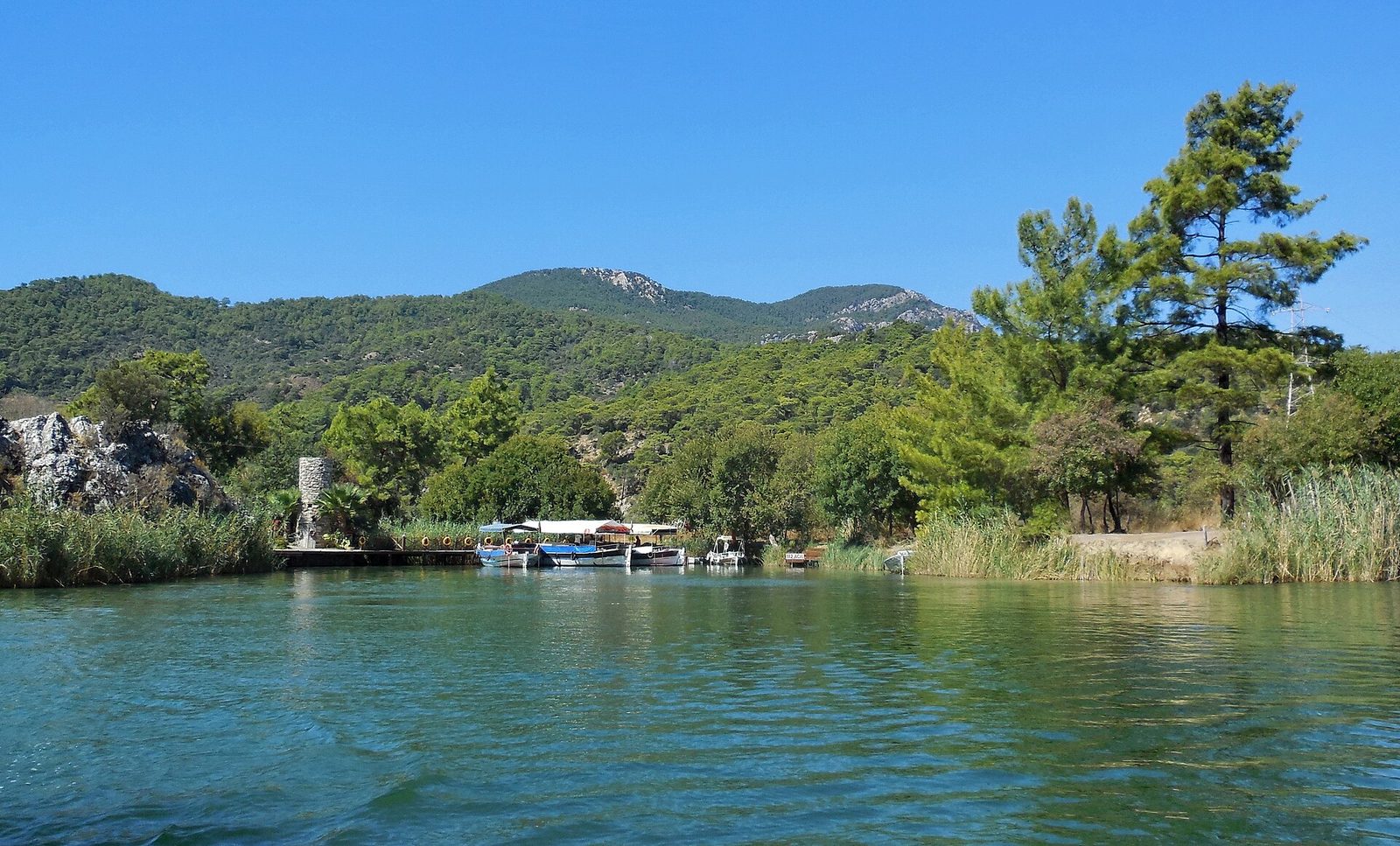 Dalyan River & İztuzu Beach Tour — photo 6