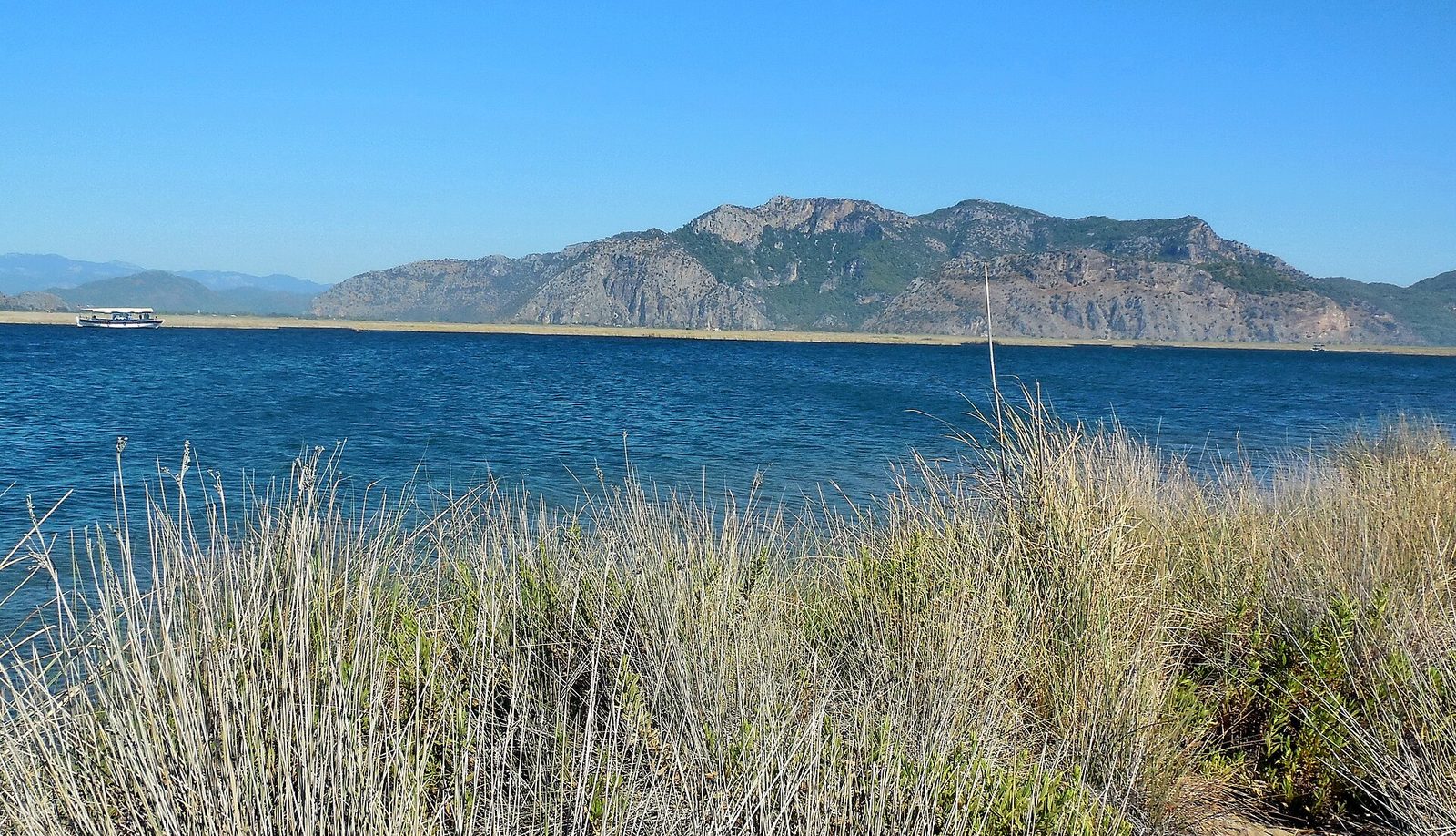 Dalyan River & İztuzu Beach Tour — photo 8