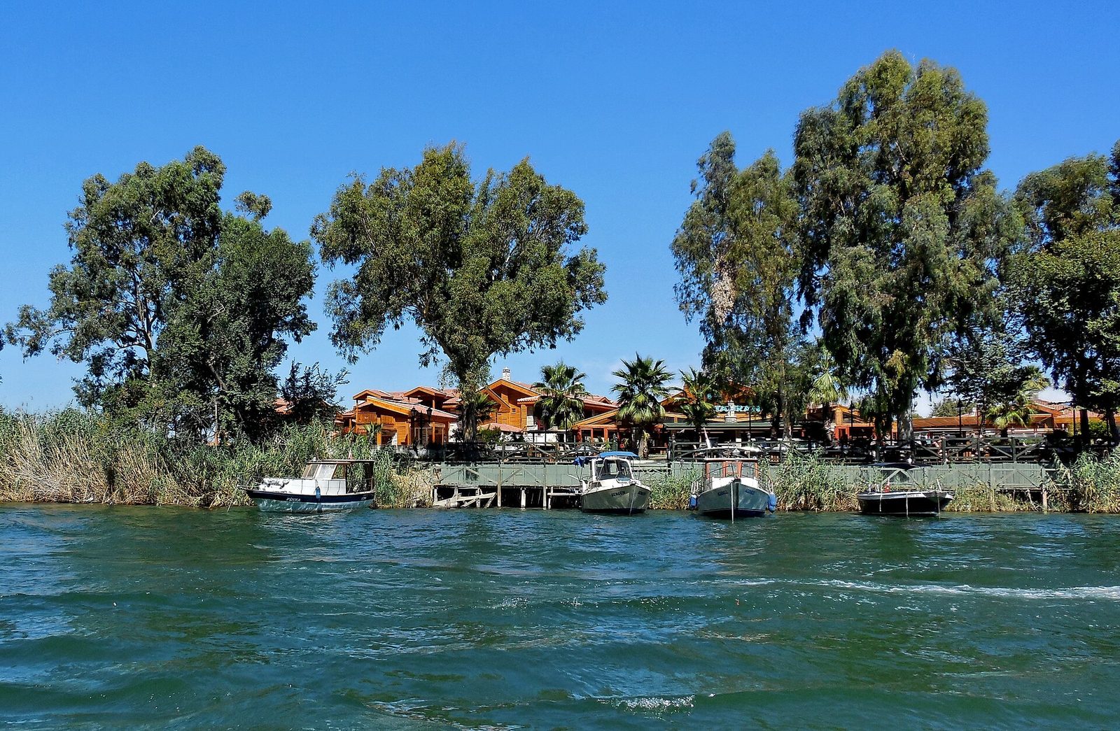 Dalyan Moonlight Cruise — photo 3