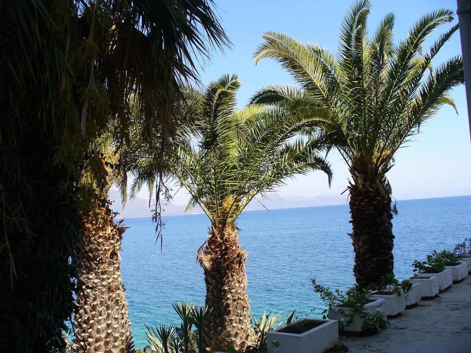 Datça Knidos Boat Tour — photo 4