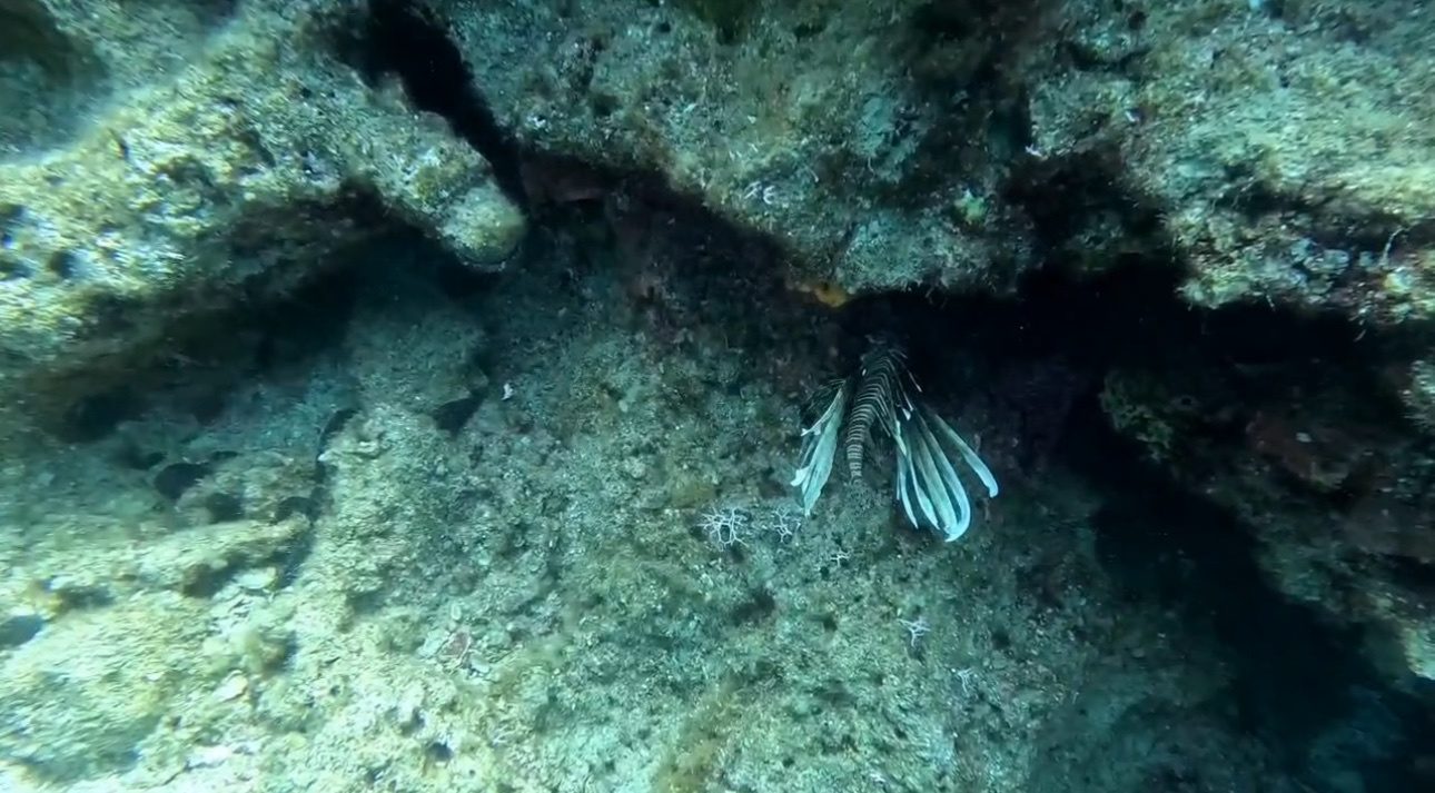 Fethiye Diving Trip — photo 2
