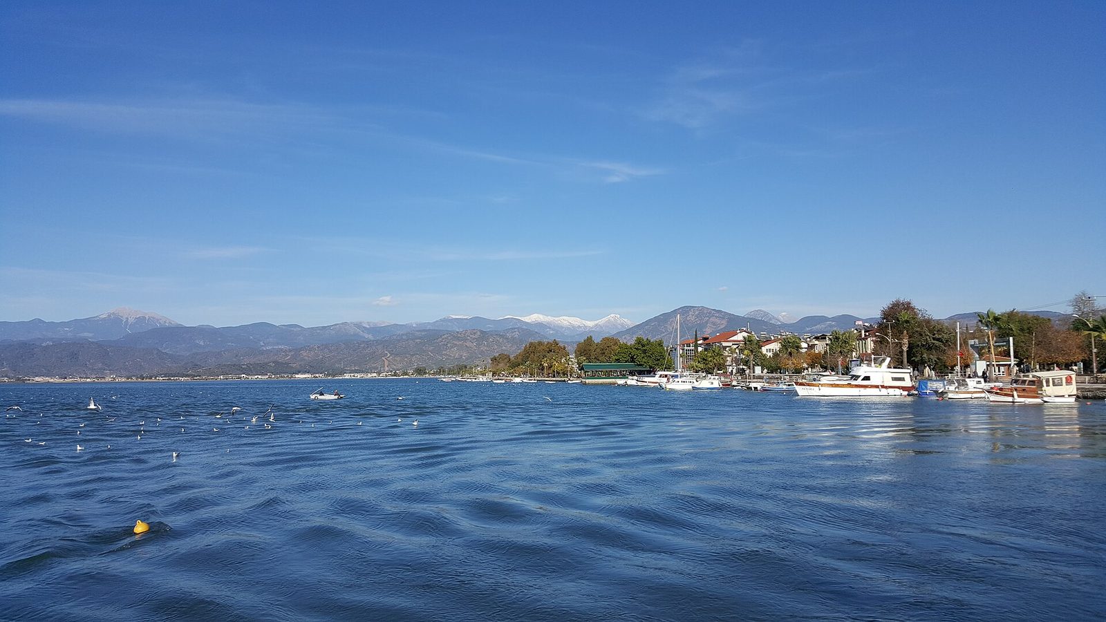 Fethiye Deep-Sea Fishing Trip — photo 4