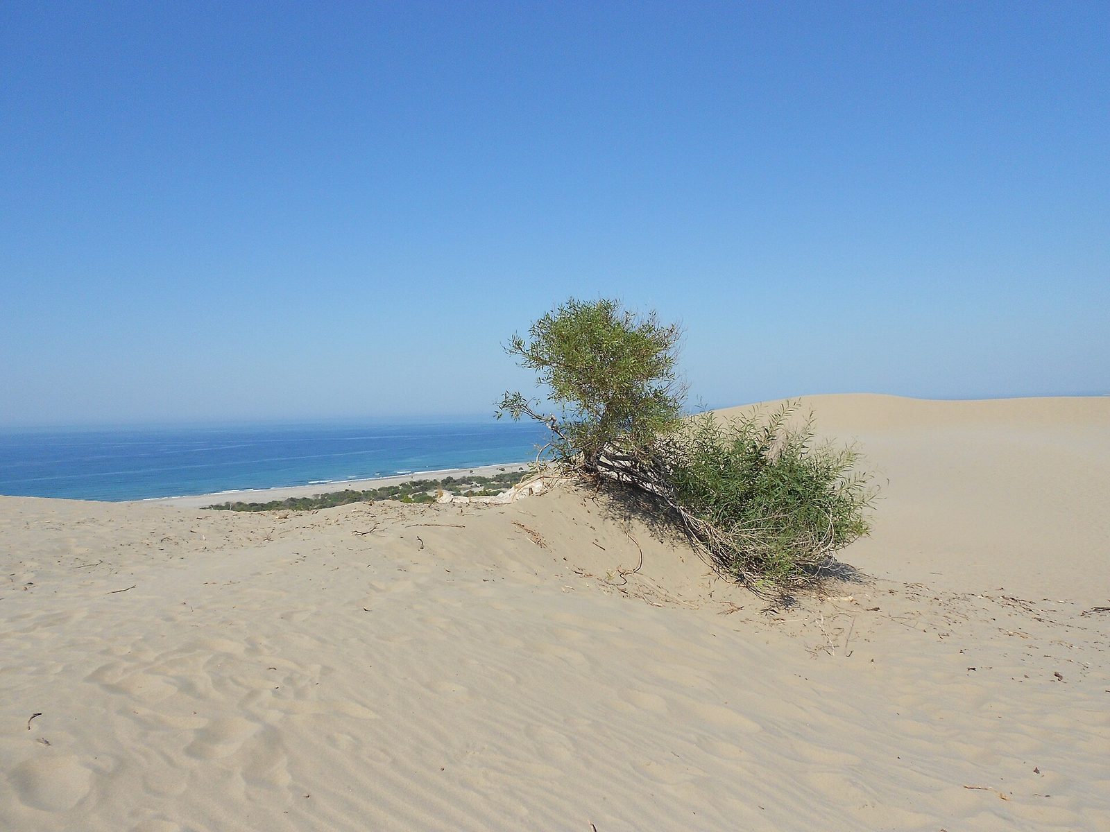 Kalkan Bays Tour — Kaputaş, Blue Cave & Patara — photo 5