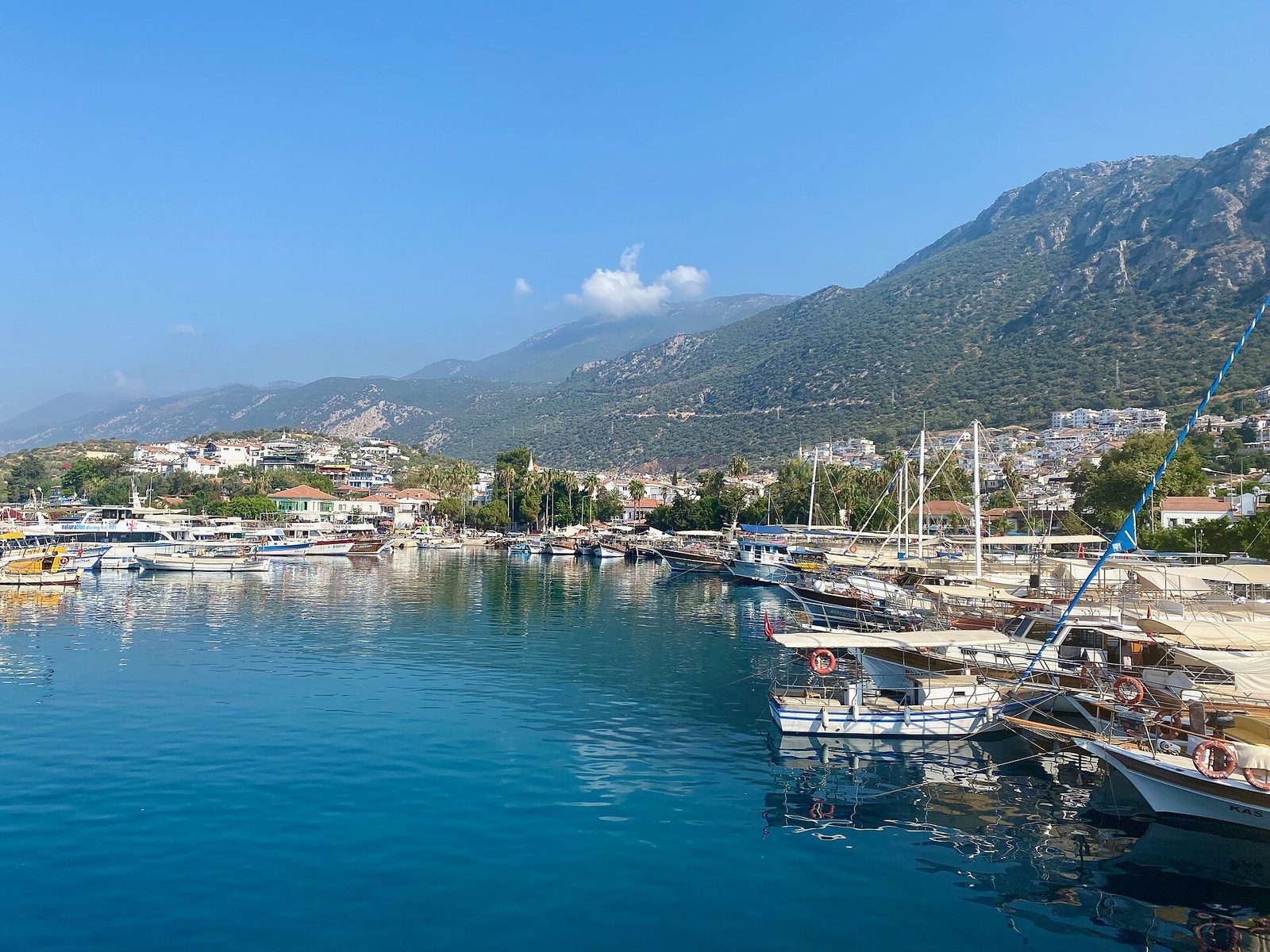 Kaş East Bays & Limanağzı Tour — photo 3