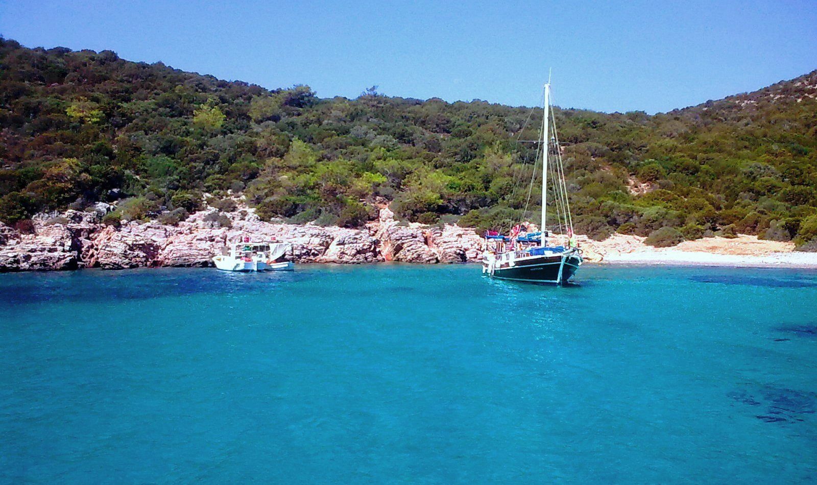 Orak Island Boat Tour — photo 5