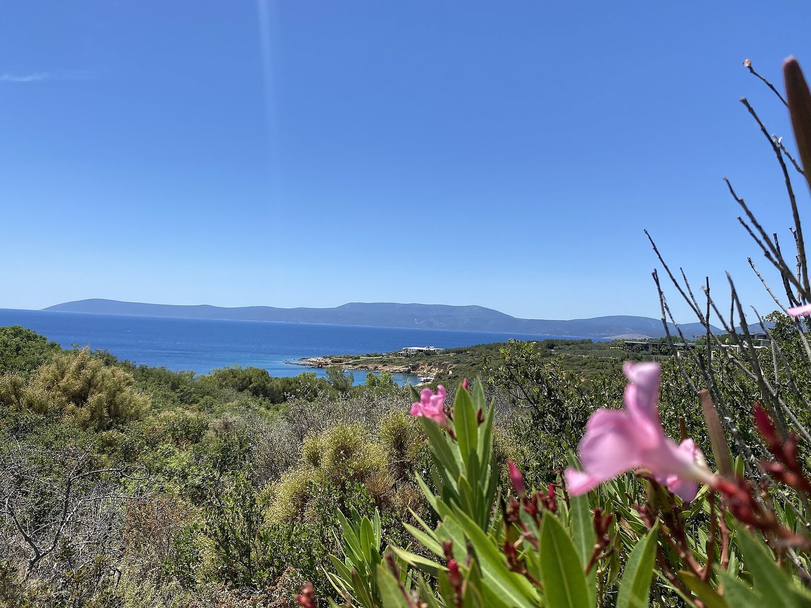 Sığacık Bays Tour — photo 5