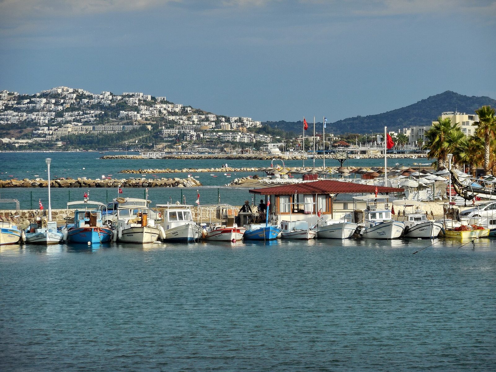 Turgutreis North Route — Kiremit Islands & Gümüşlük — photo 5