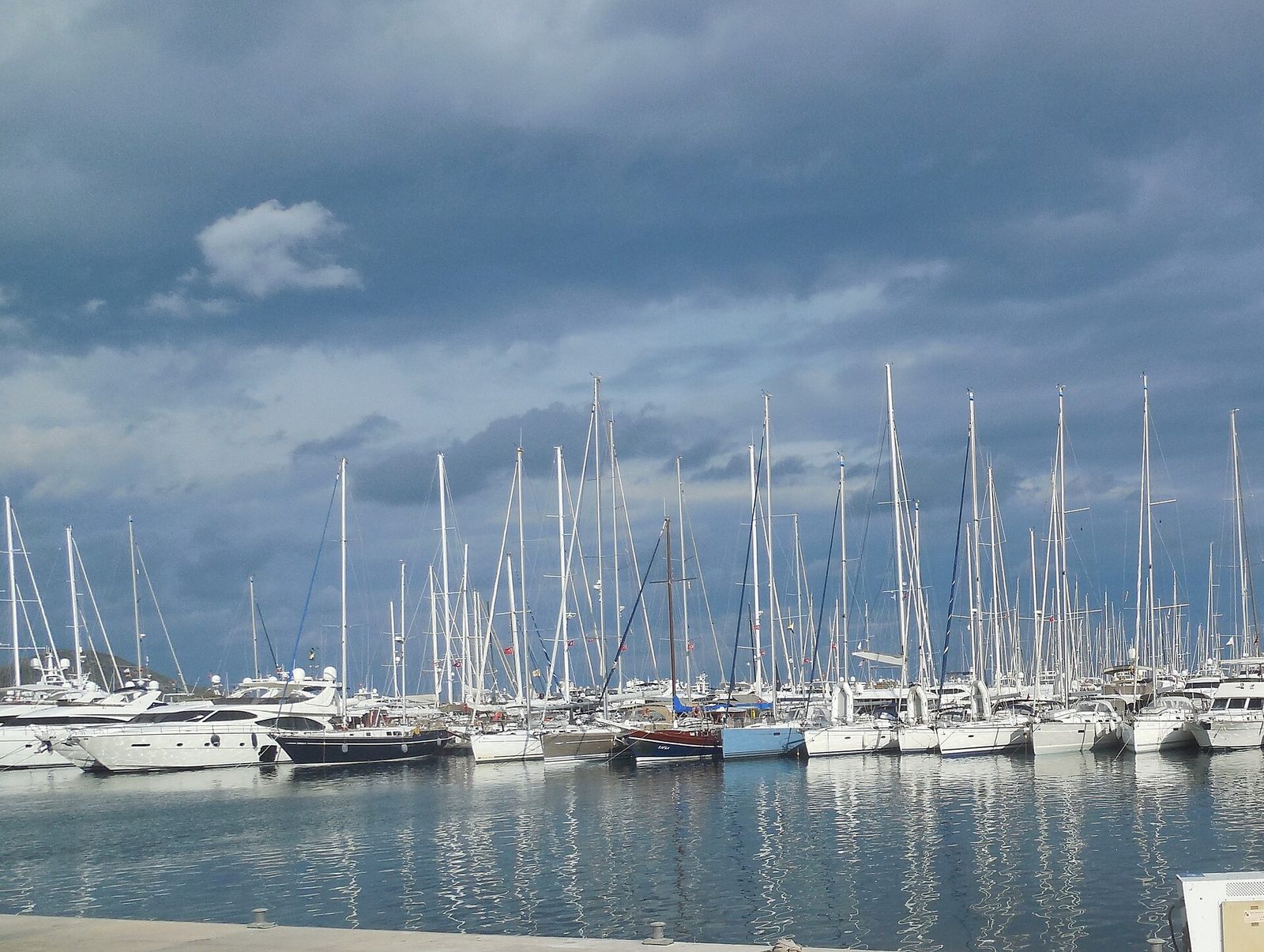Turgutreis North Route — Kiremit Islands & Gümüşlük — photo 6
